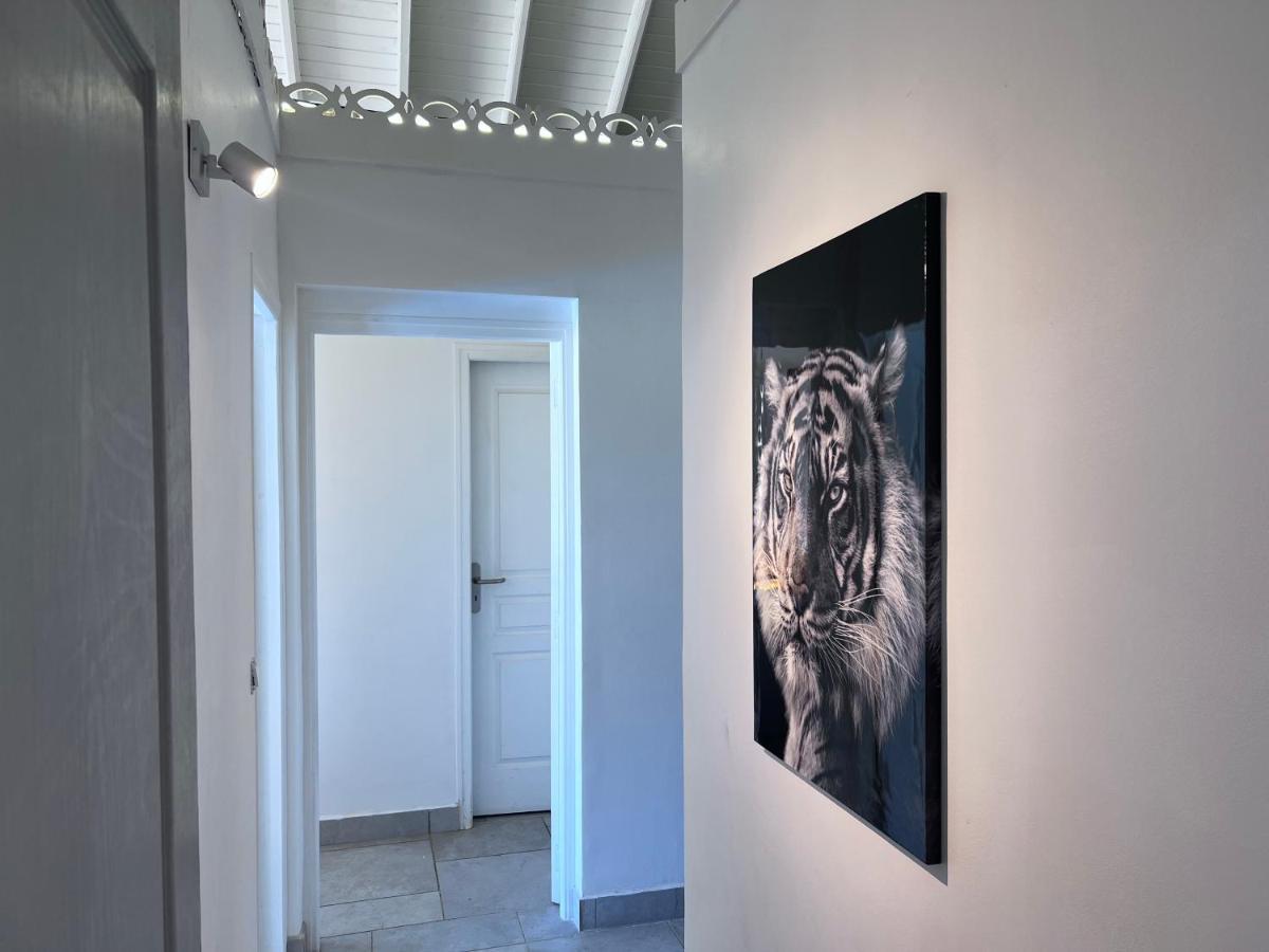Villa Taiana Quarter of Orleans ภายนอก รูปภาพ